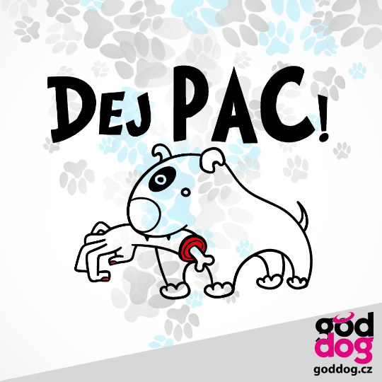 Dámská mikina Dej Pac