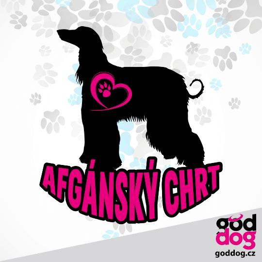 Dámská džínová peněženka afgánský chrt Silueta