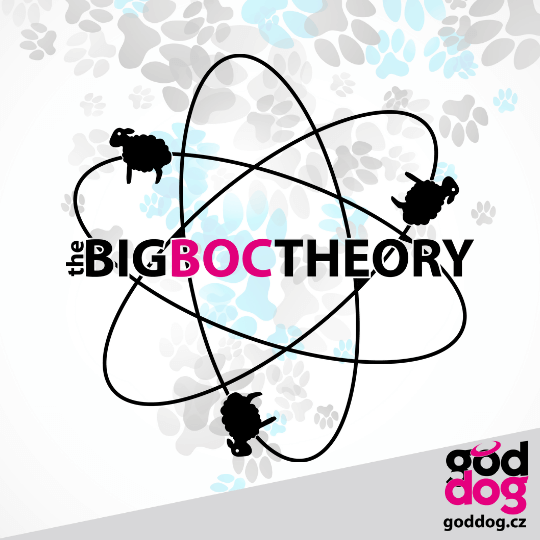 Dámské funkční tričko border kolie TBBT