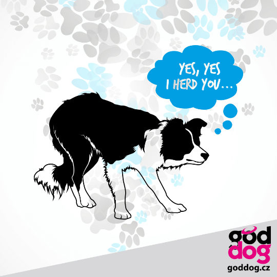 Ručník border kolie Herd you
