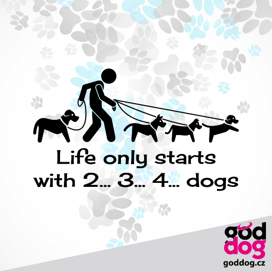 Pánská mikina Life starts