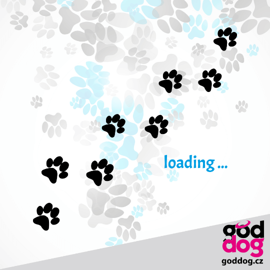 Pánské tričko Loading