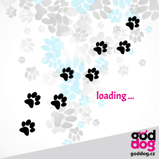 Dámské tílko Loading