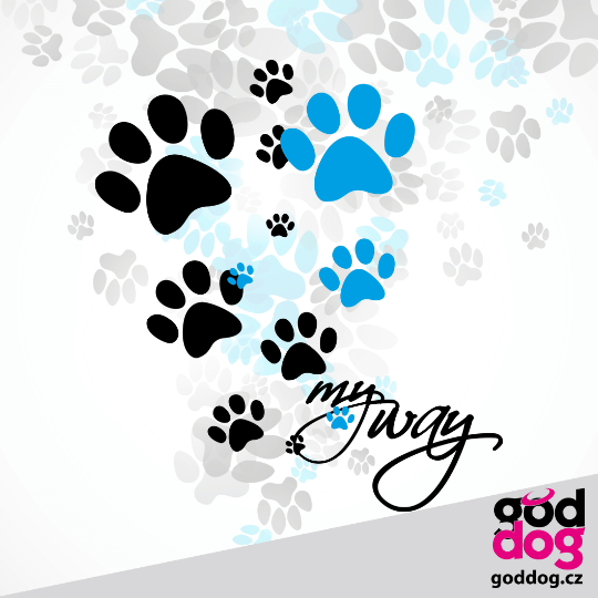 Pánské tričko My Way