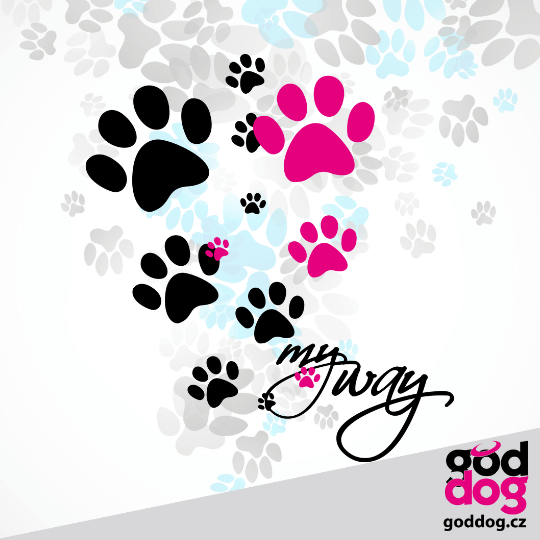 Dámská mikina My Way