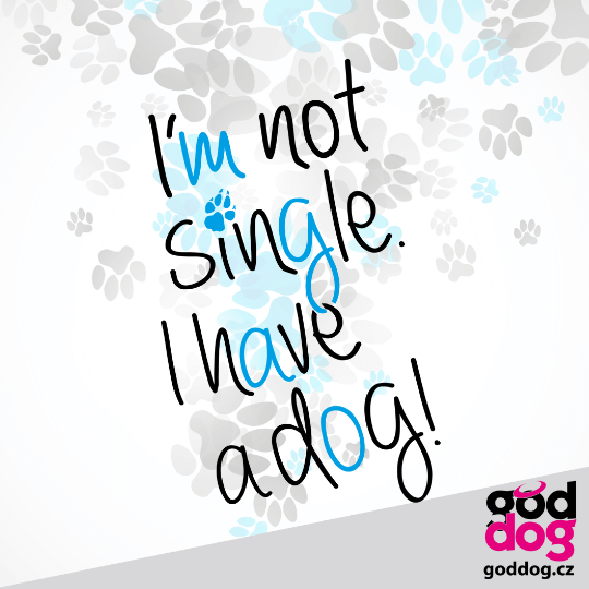 Pánské kraťasy Not Single