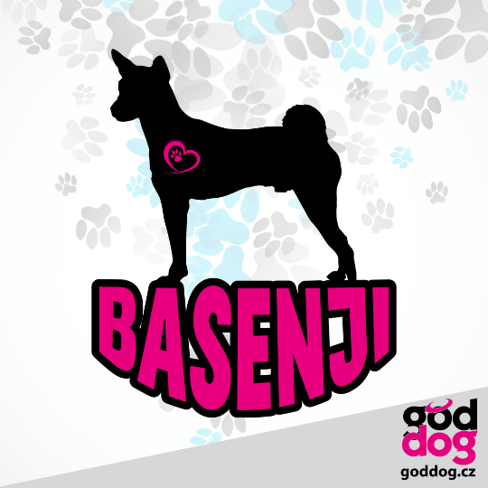 Dámské funkční tričko basenji Silueta