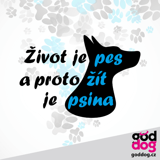 Pánské funkční tričko Život je pes