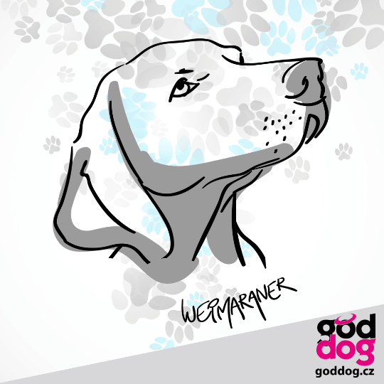 Sportovní sukně výmarský ohař Weim Head