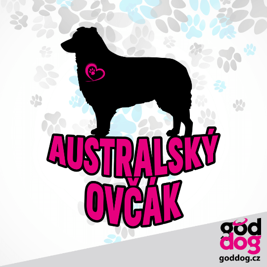 Mikinošaty australský ovčák Silueta