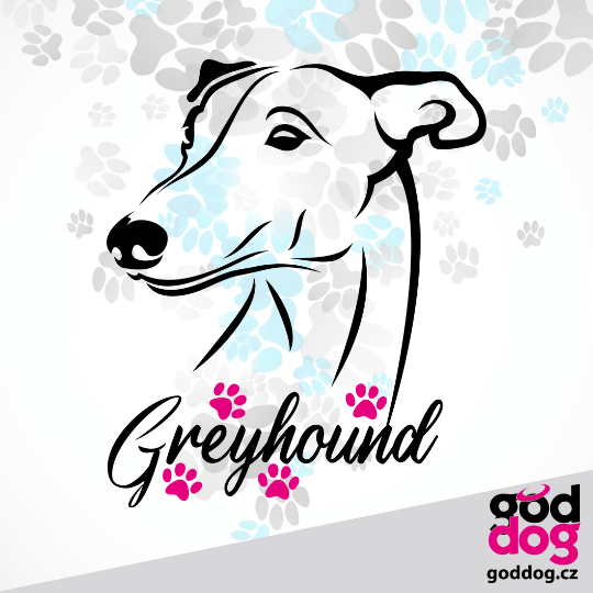 Dámská letní softbunda greyhound Greyhound