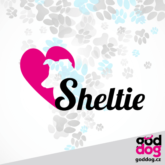 Dámská letní softbunda šeltie Head