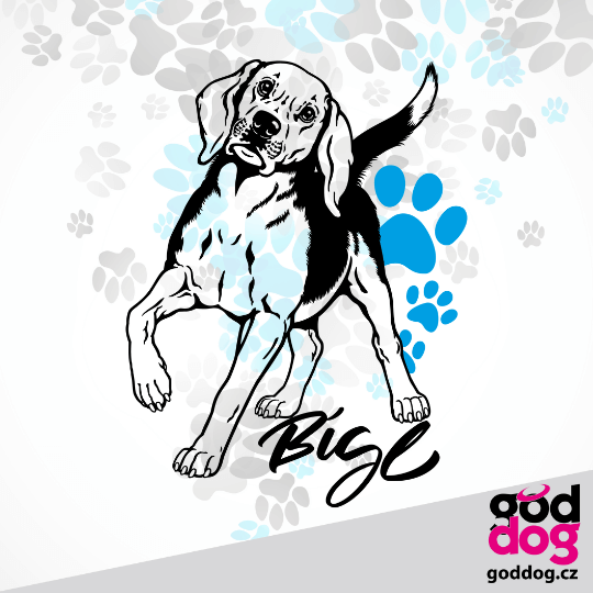Pánská mikina bígl Bígl
