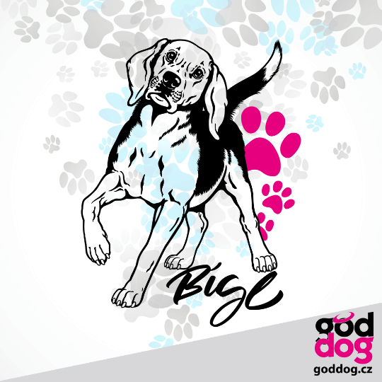 Sportovní sukně bígl Bígl