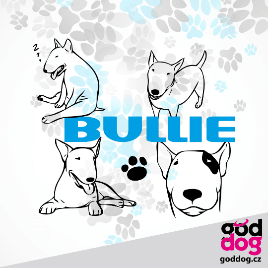 Vak bulteriér Bullie