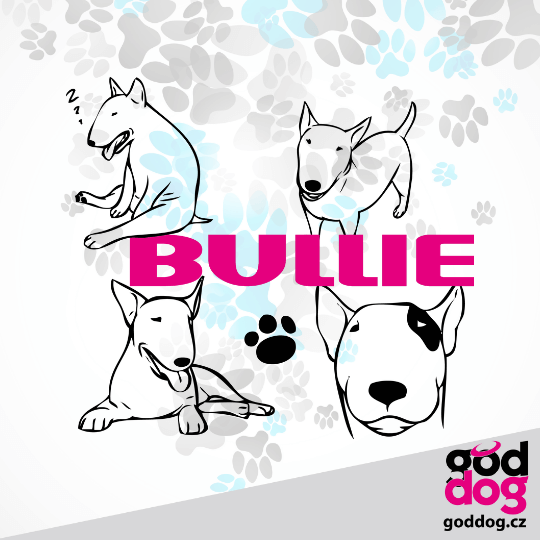 Dámská letní softbunda bulteriér Bullie