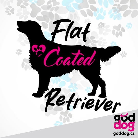 Mikinošaty flat coated retrívr FCR