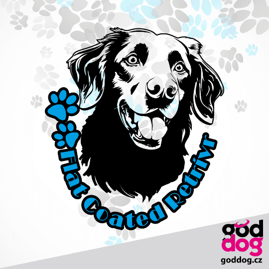 Vak flat coated retrívr Head