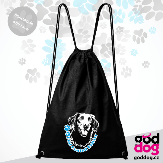 Vak flat coated retrívr Head