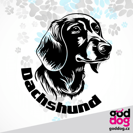 Dámské tričko jezevčík Head