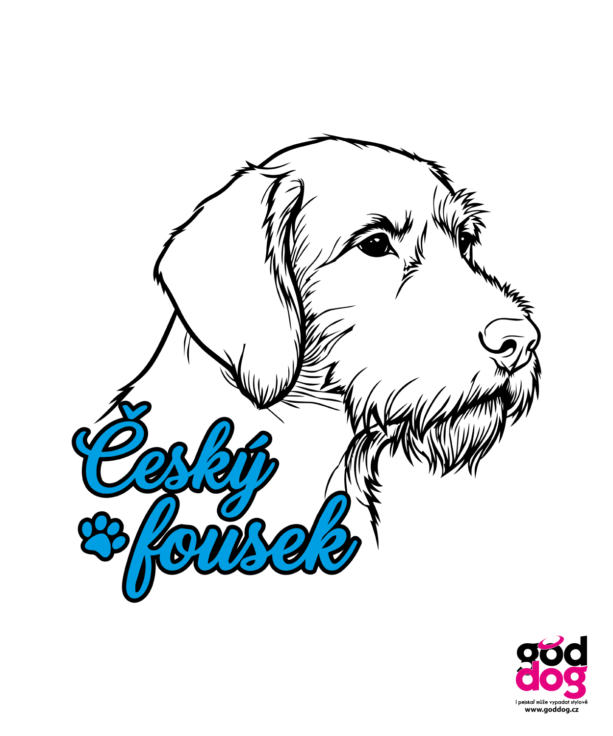Placka Český fousek